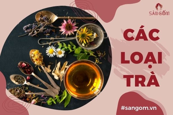 [Kiến thức bổ ích] Các loại trà phổ biến hiện nay |Sangom