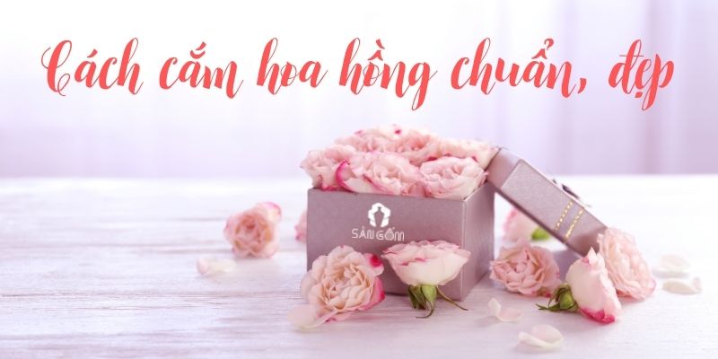 cach-cam-hoa-hong
