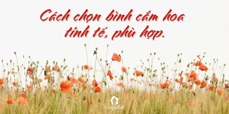 cach-cho-binh-cam-hoa-banner