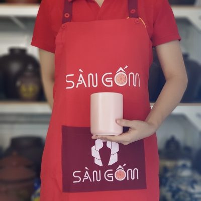 ly-su-dang-tru-khong-quai-mau-hong-1