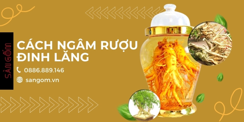cach-ngam-ruou-dinh-lang-banner