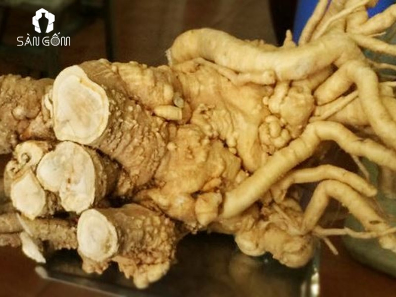cu-dinh-lang (2)