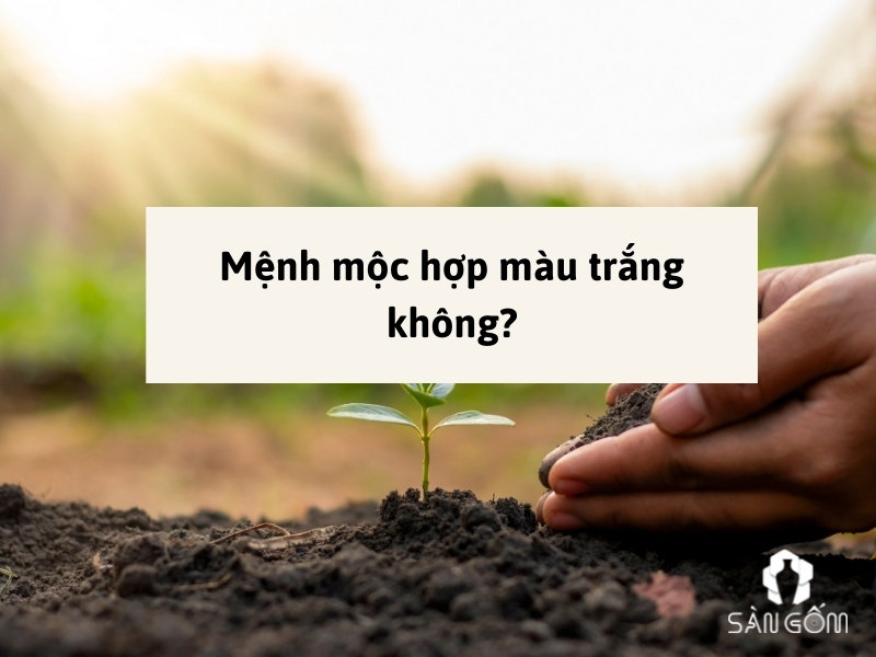menh-moc-hop-mau-trang-khong