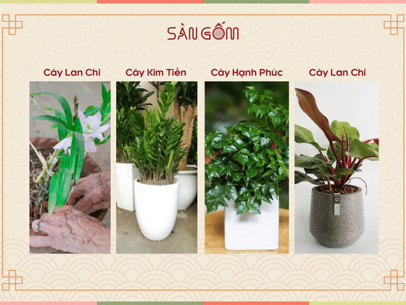 canh-thin-2000-14