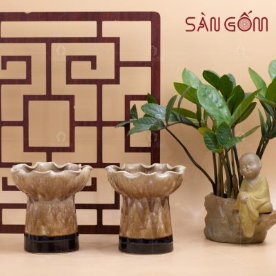 ly-phat-thu-gom-su-mau-nau-men-hoa-bien-1