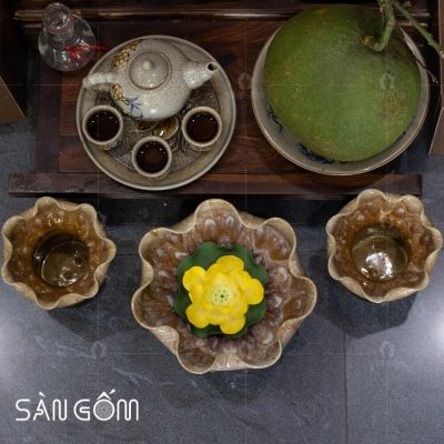 ly-phat-thu-gom-su-mau-nau-men-hoa-bien-12