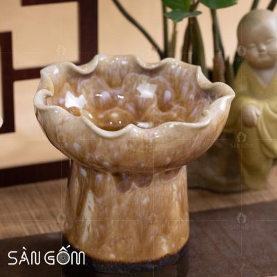 ly-phat-thu-gom-su-mau-nau-men-hoa-bien-3