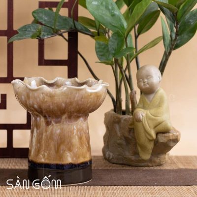 ly-phat-thu-gom-su-mau-nau-men-hoa-bien-4