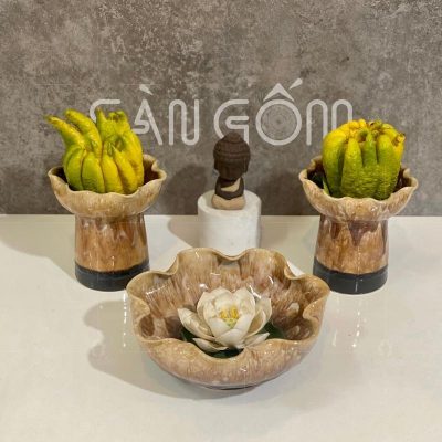 ly-phat-thu-gom-su-mau-nau-men-hoa-bien-6