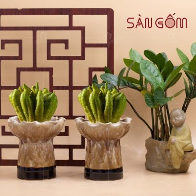 ly-phat-thu-gom-su-mau-nau-men-hoa-bien-7