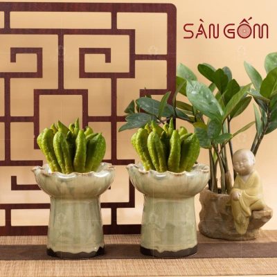 ly-phat-thu-gom-su-mau-vang-men-hoa-bien-12