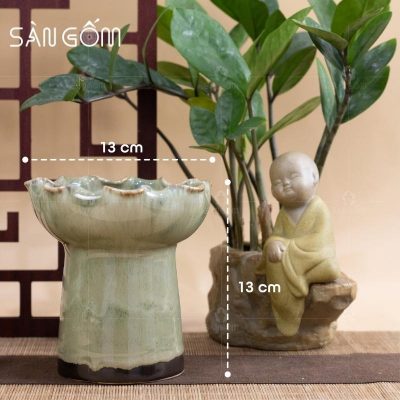 ly-phat-thu-gom-su-mau-vang-men-hoa-bien-13