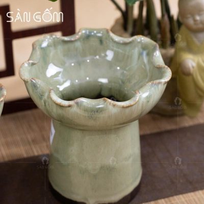 ly-phat-thu-gom-su-mau-vang-men-hoa-bien-11