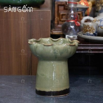 ly-phat-thu-gom-su-mau-vang-men-hoa-bien-11