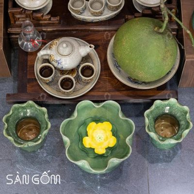 ly-phat-thu-gom-su-mau-xanh-ngoc-men-hoa-bien-11