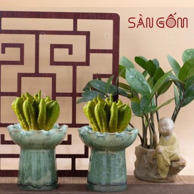 ly-phat-thu-gom-su-mau-xanh-ngoc-men-hoa-bien-2