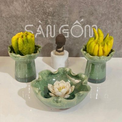 ly-phat-thu-gom-su-mau-xanh-ngoc-men-hoa-bien-3