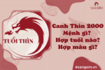 tuoi-canh-thin-2000