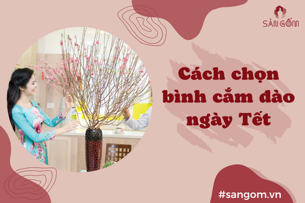 cach-chon-binh-cam-dao-ngay-tet
