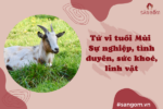 tu-vi-tuoi-mui-add