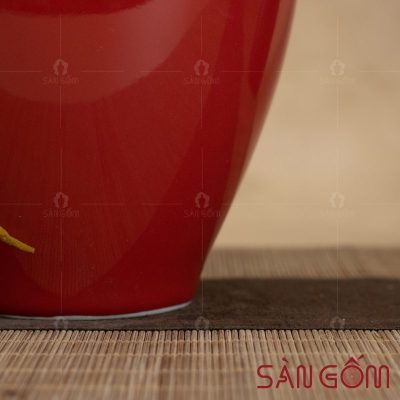bao-binh-mau-do-hoa-tiet-dat-vang-chu-loc (5)