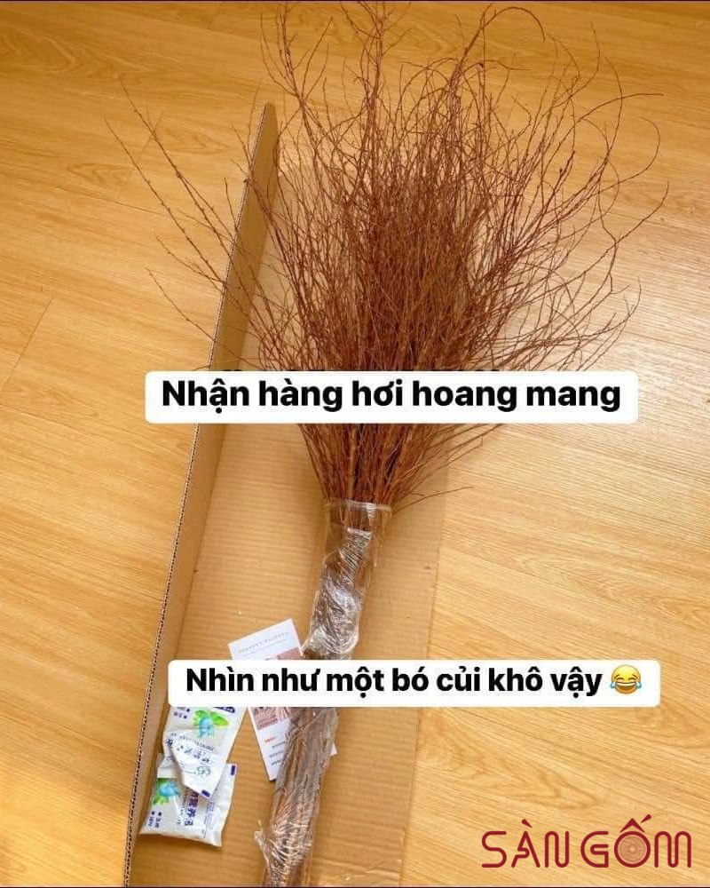 cam-tuyet-mai-kho-10