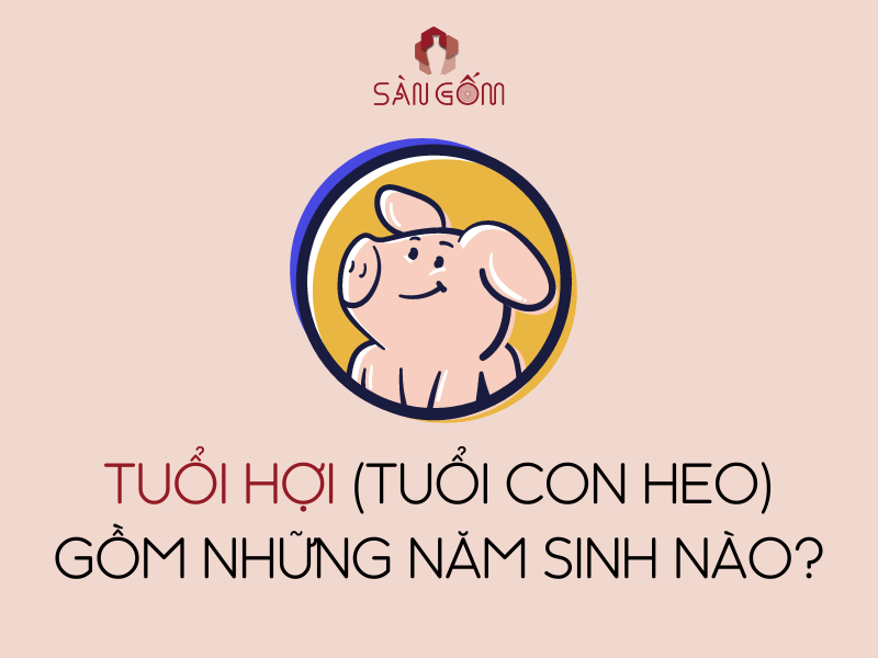 tu-vi-tuoi-hoi-13